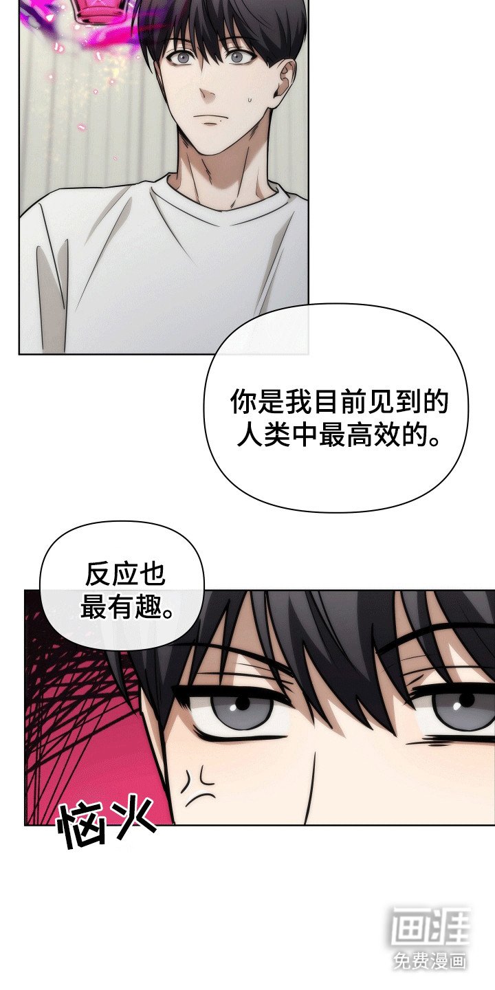 第10章：不完整的存在