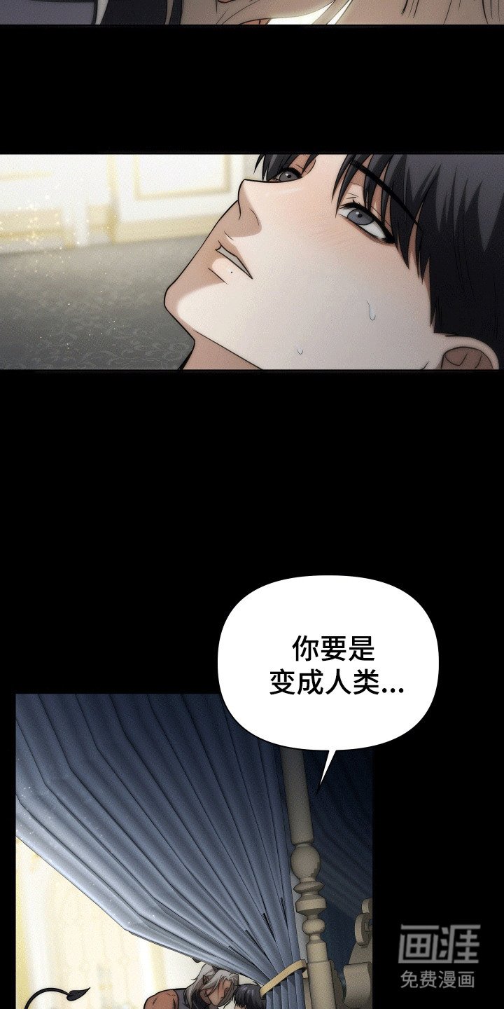 第13章：之后会怎么样