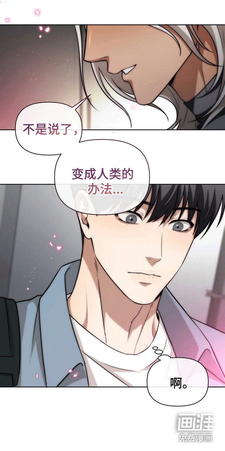 第17章：如果消失