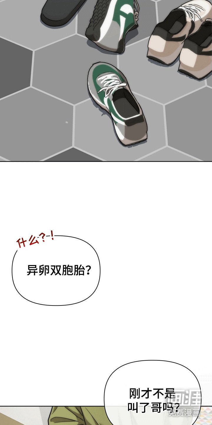 第7章：双胞胎