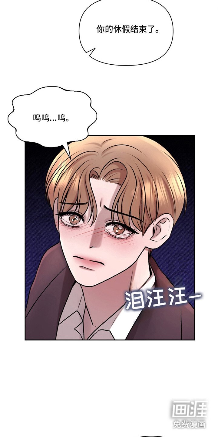 第11章：照片