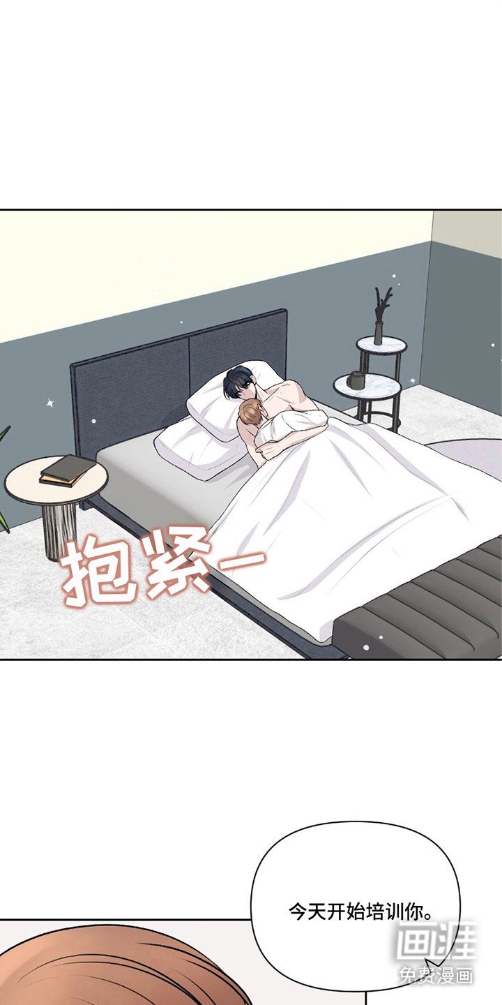 第19章：开始培训