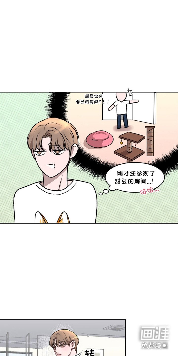 第3章：同居合同