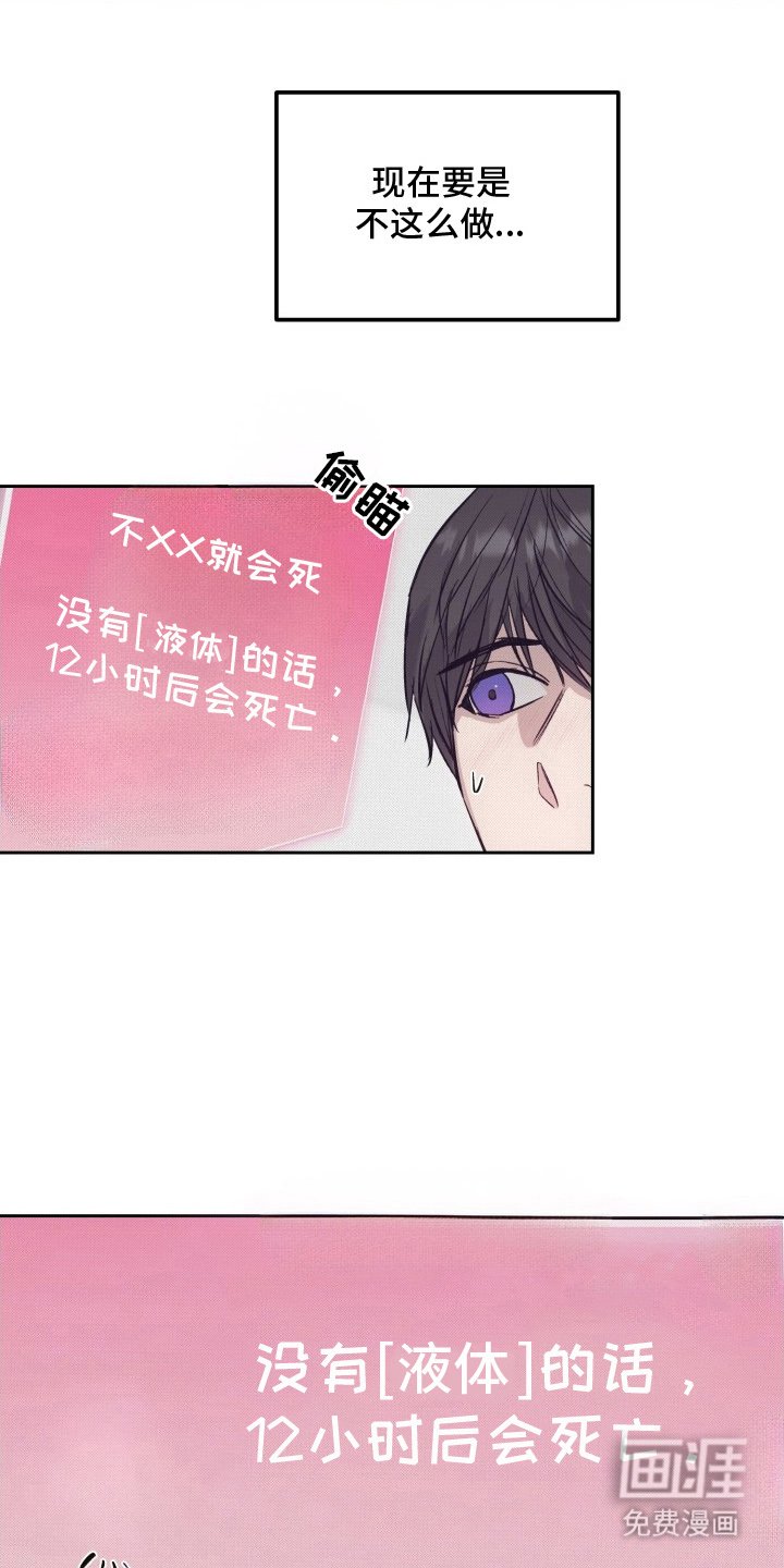 第2章：神秘状态窗