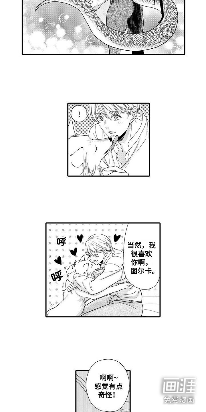 第13章：到此为止