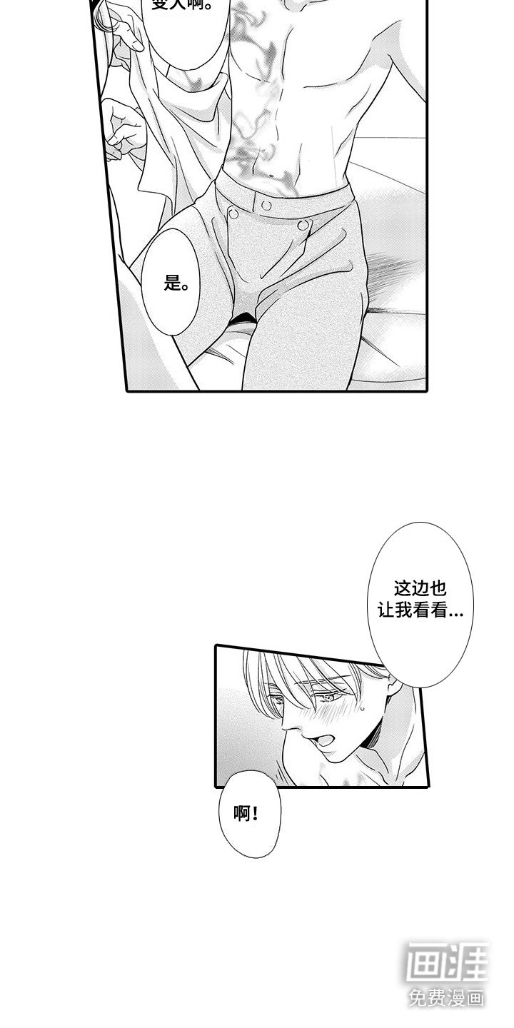第14章：确认淤青
