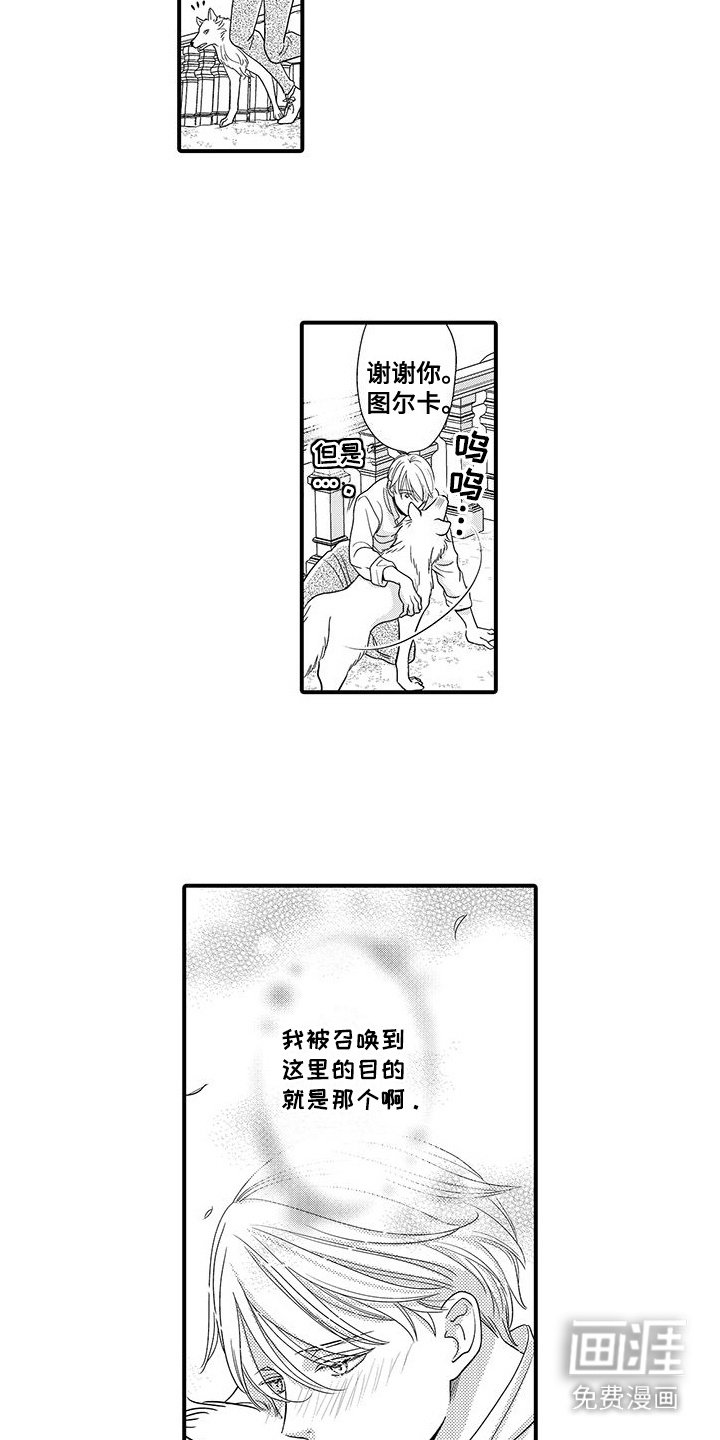 第14章：确认淤青