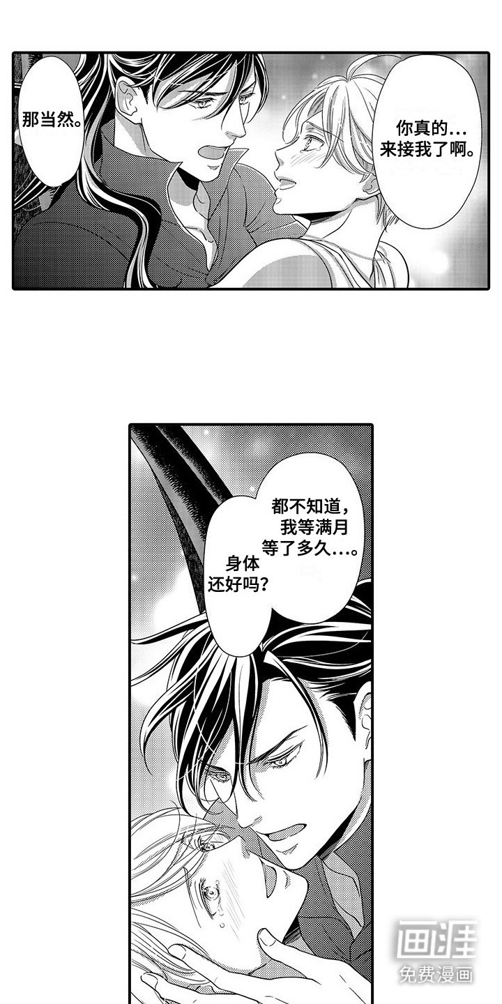 第20章：恢复原样