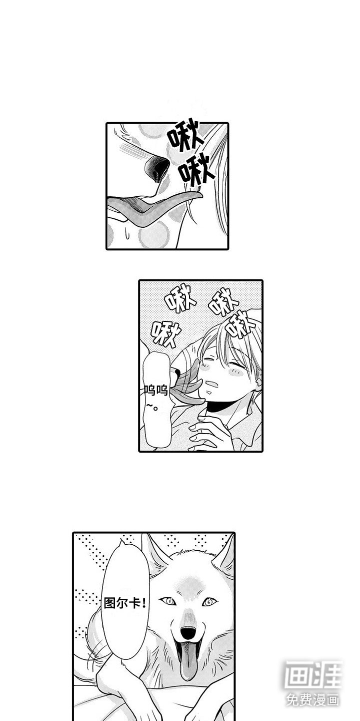 第21章：典礼（完结）