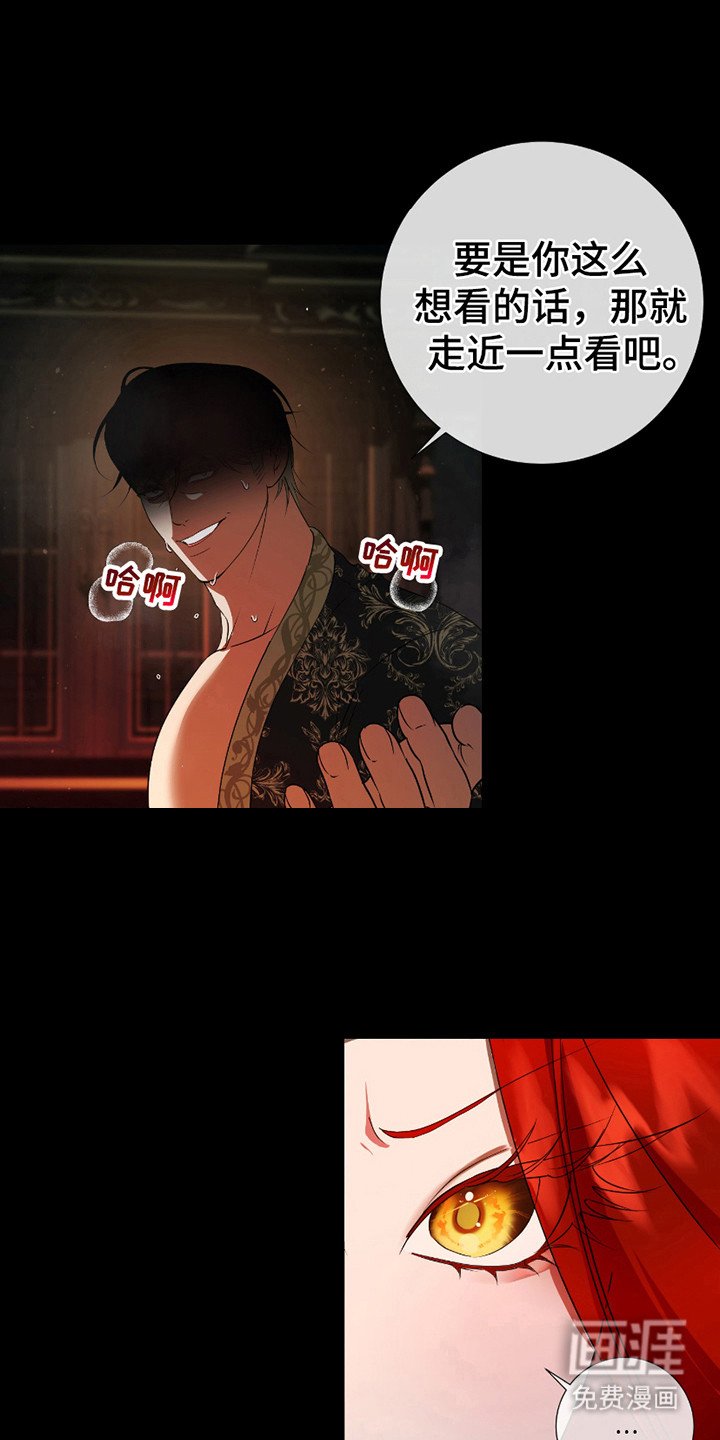 第12章：观看