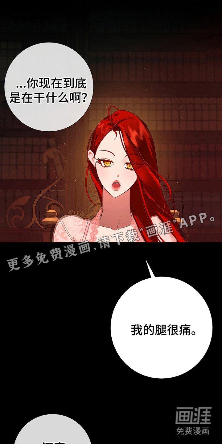 第12章：观看
