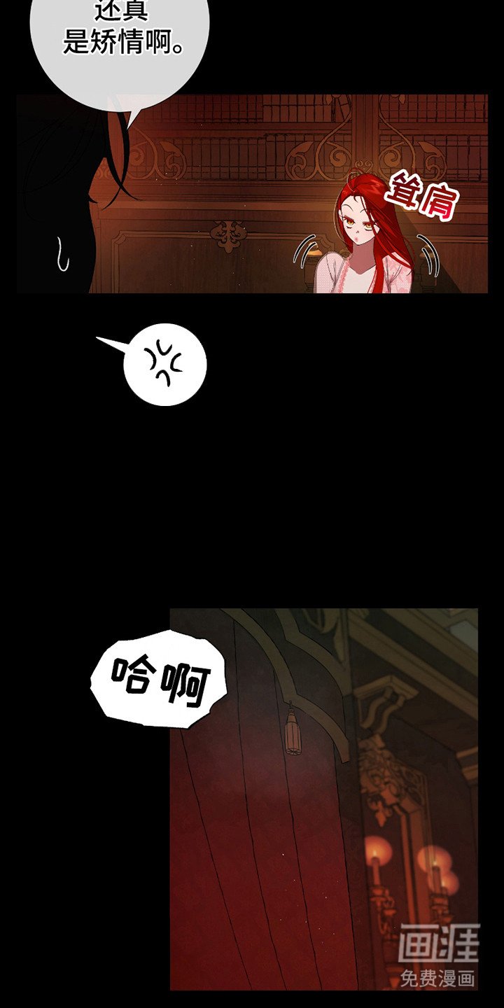 第12章：观看