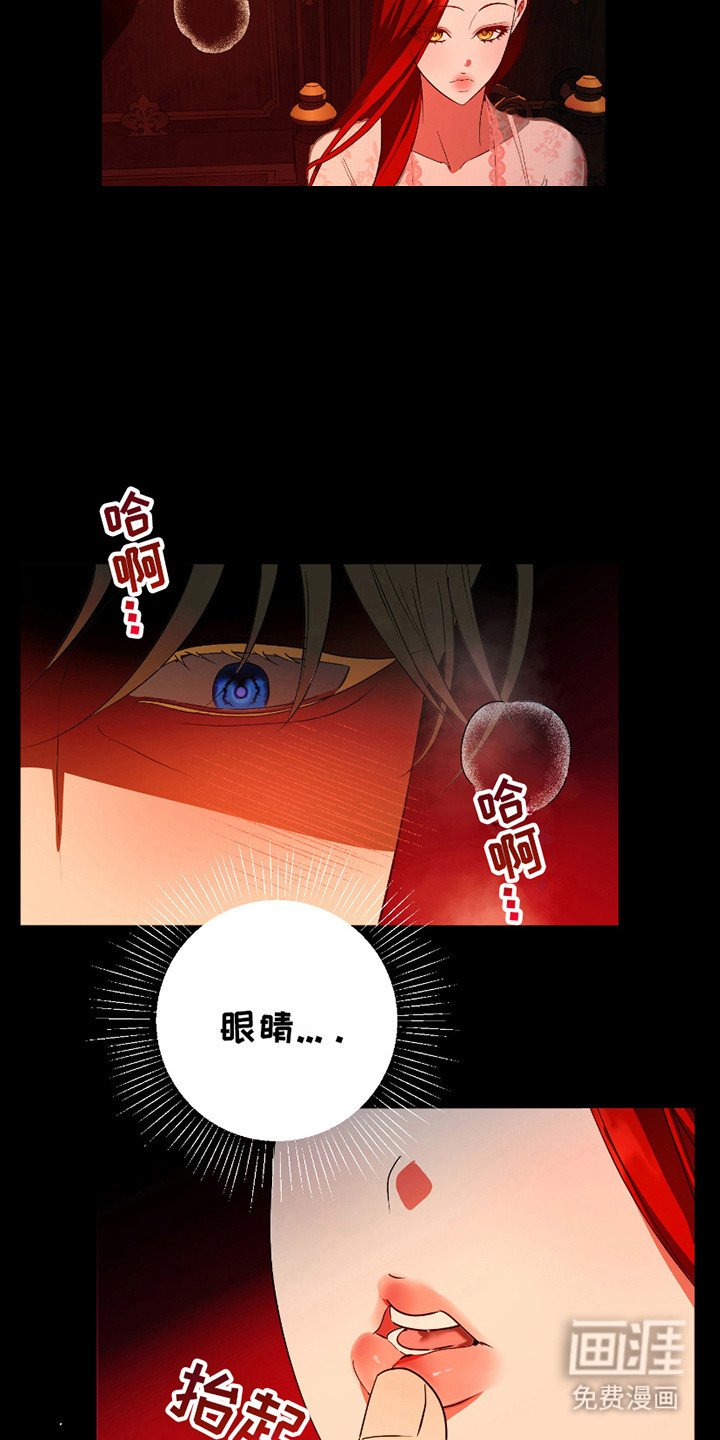 第12章：观看