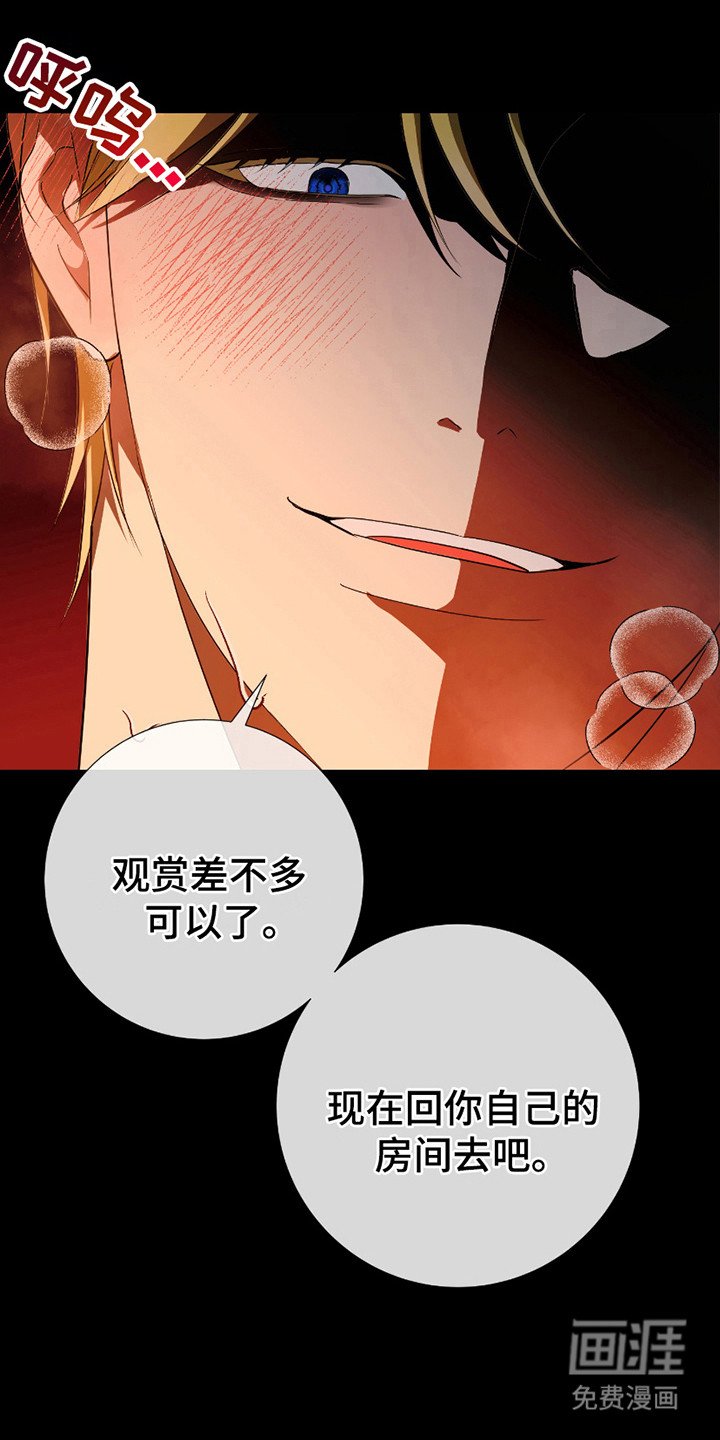 第12章：观看