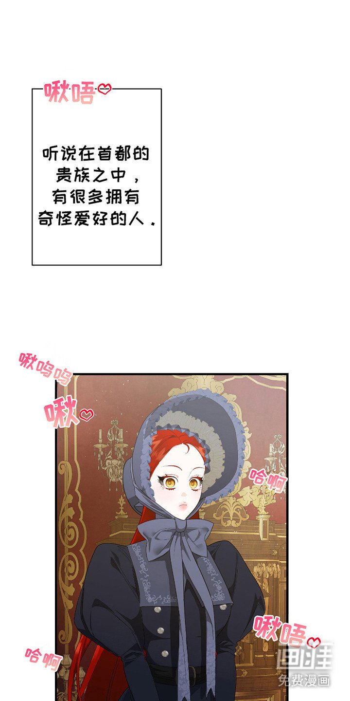 第3章： 伯爵
