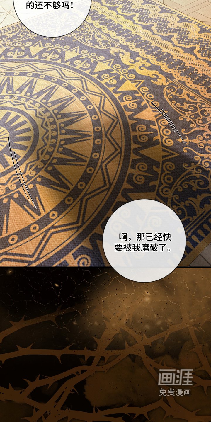 第38章：吸引我
