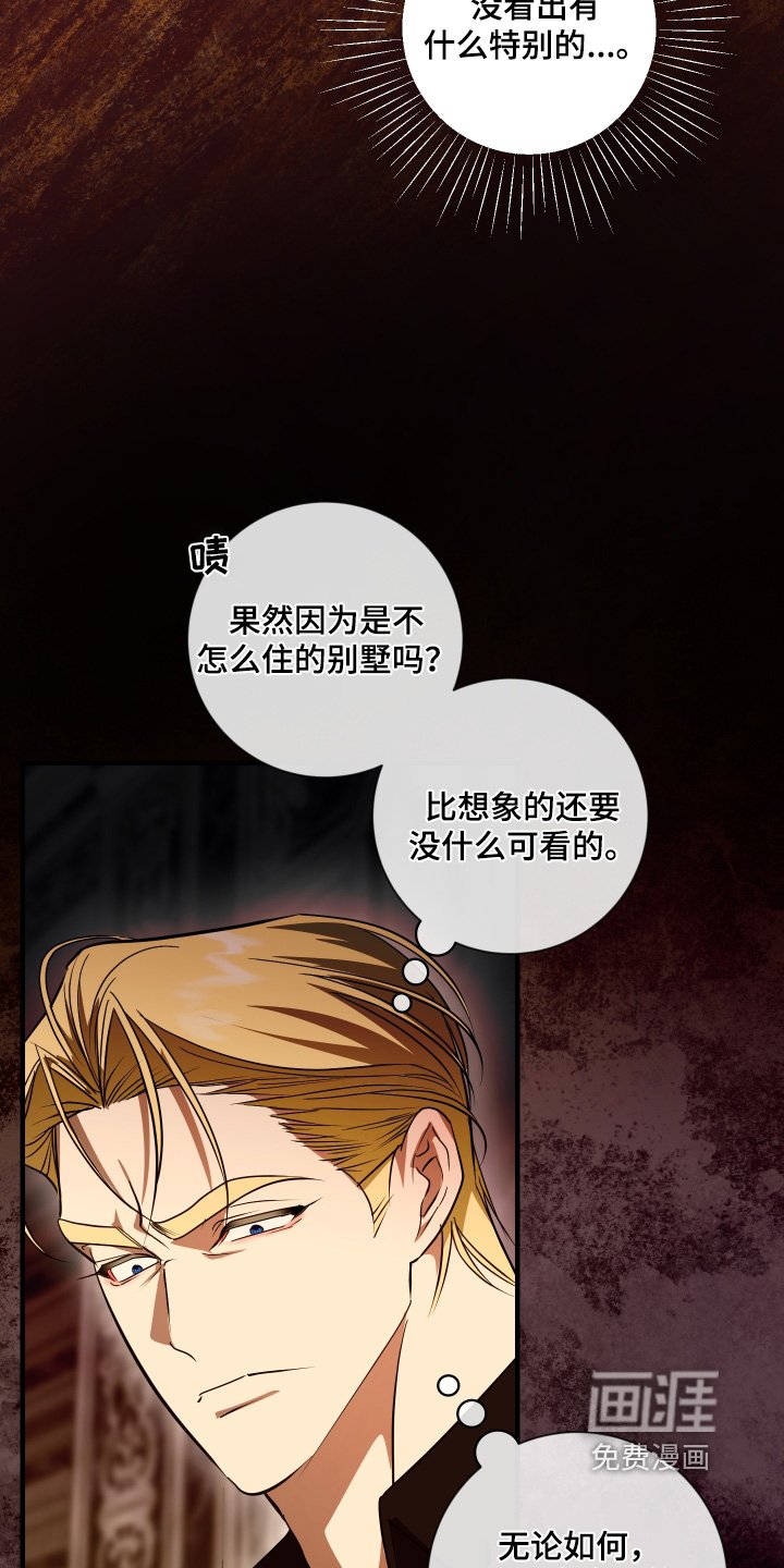 第49章：不是巧合【第一季完结】