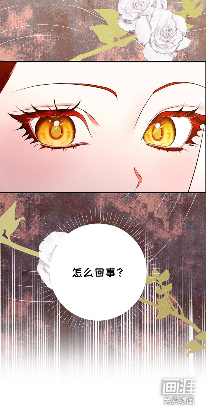 第8章：无礼