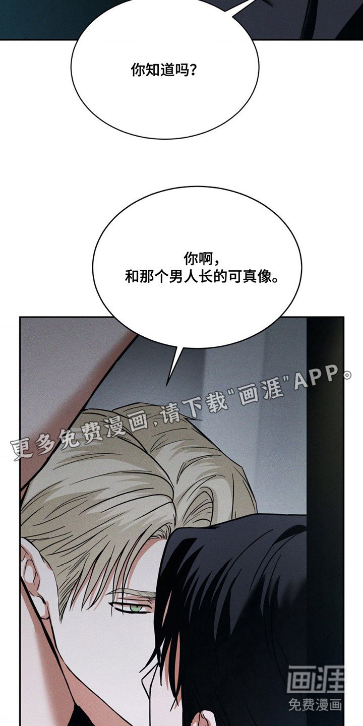 第15章：长得很像