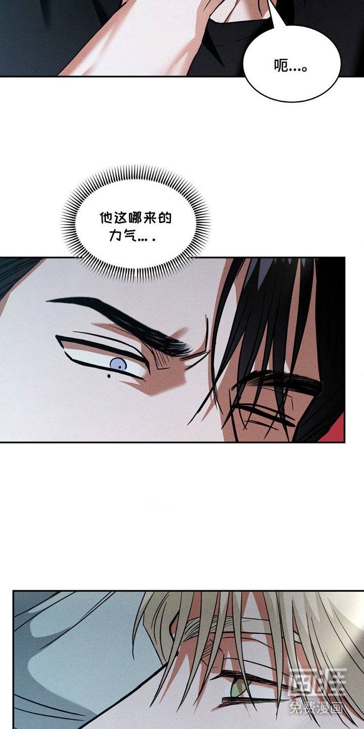 第15章：长得很像