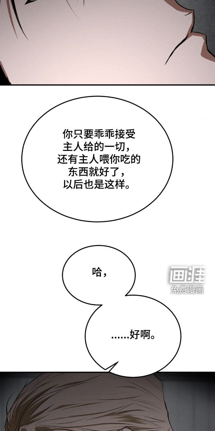 第45章：打赌