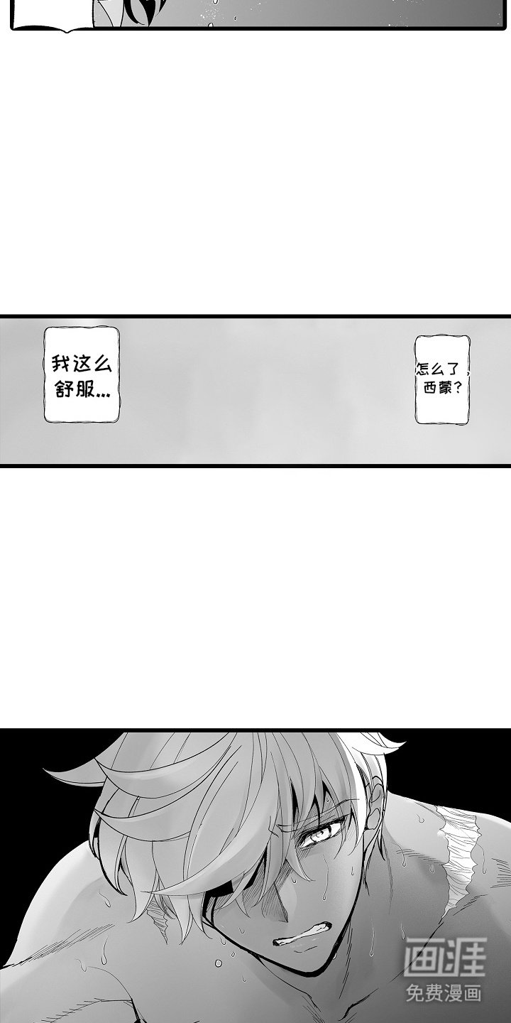 第11章：小鸟