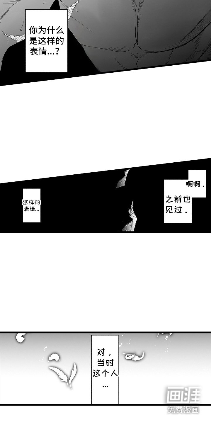 第11章：小鸟