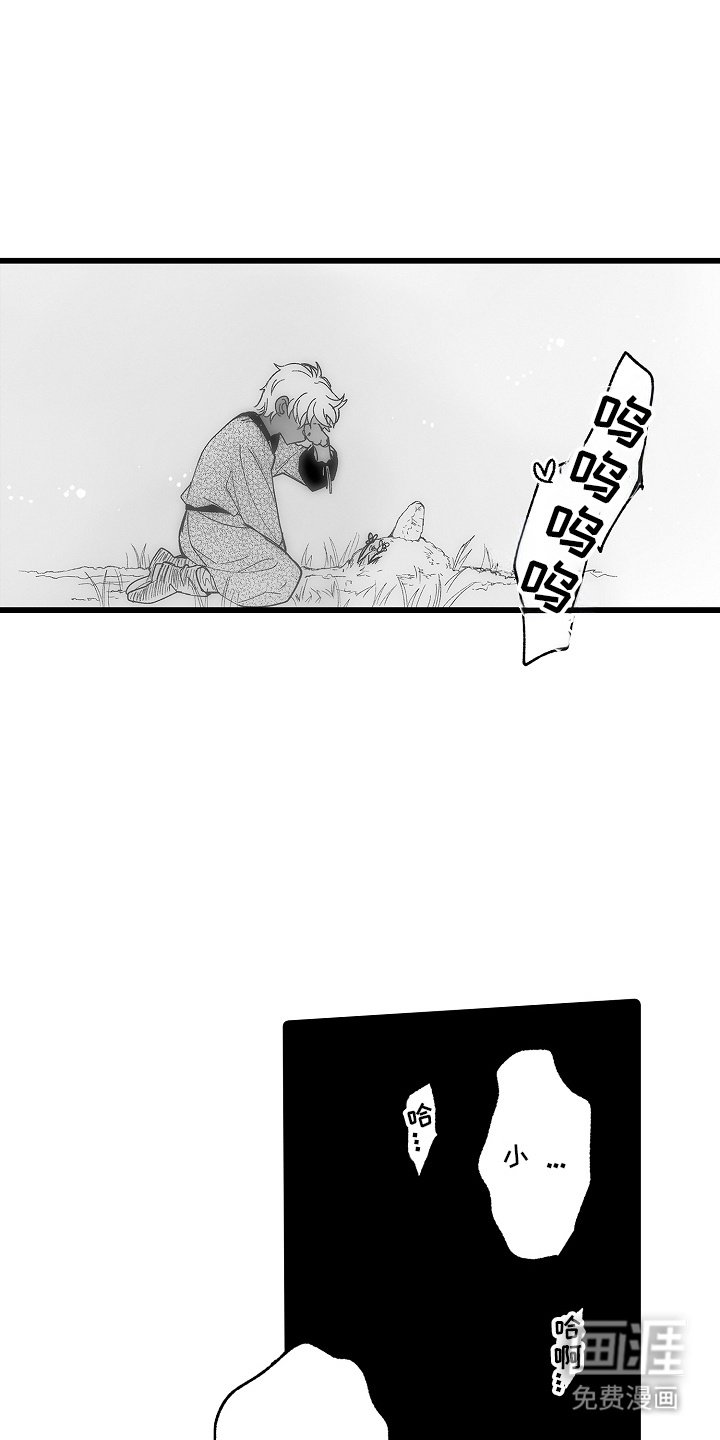 第11章：小鸟