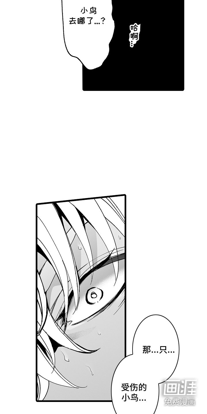 第11章：小鸟