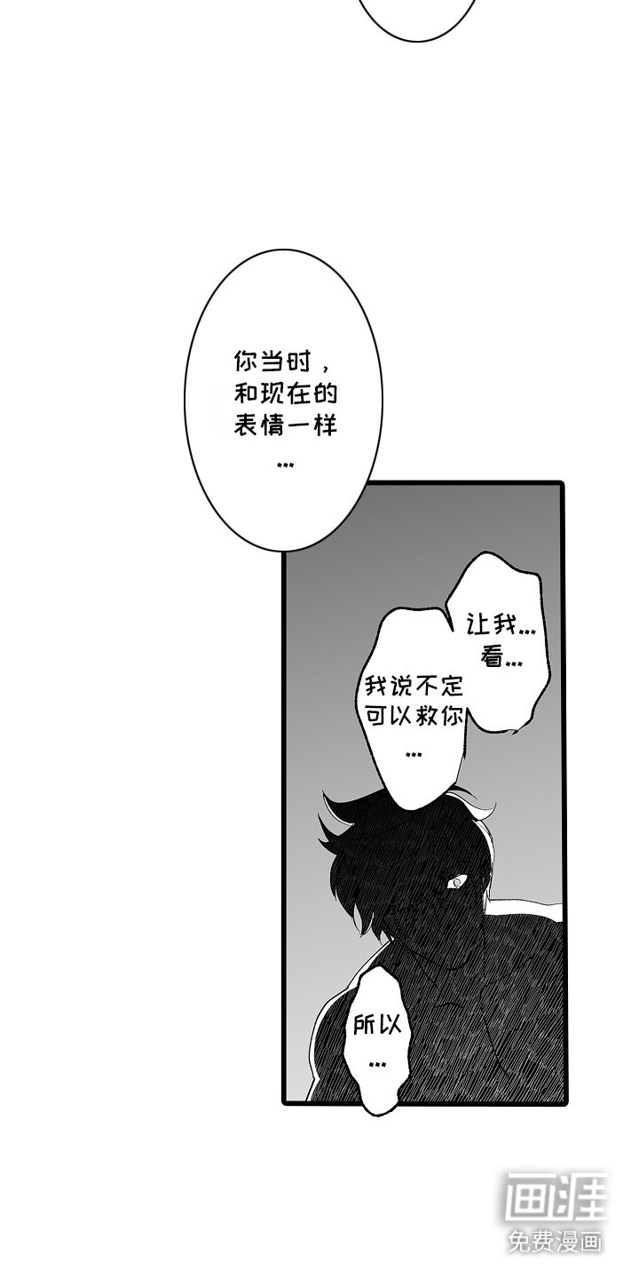 第11章：小鸟