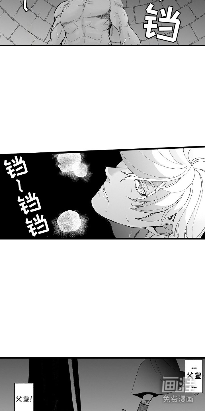 第11章：小鸟