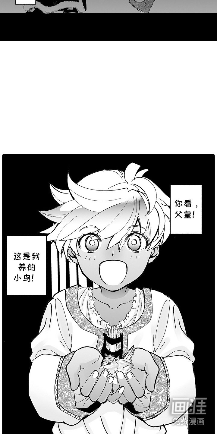 第11章：小鸟