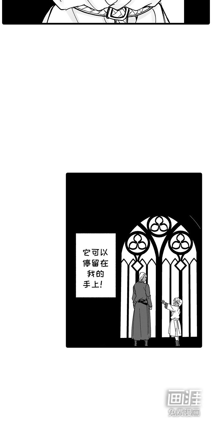 第11章：小鸟