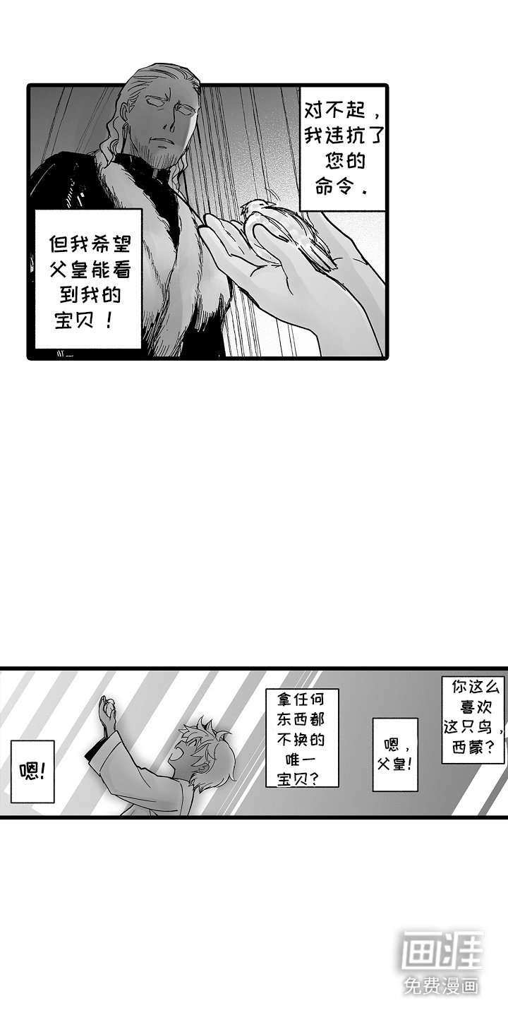 第11章：小鸟