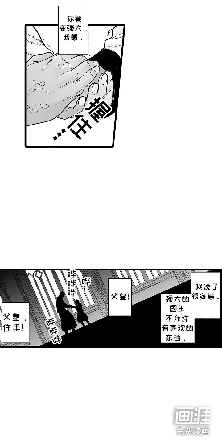 第12章：宝贝与弱点