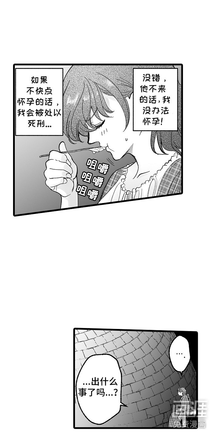 第12章：宝贝与弱点