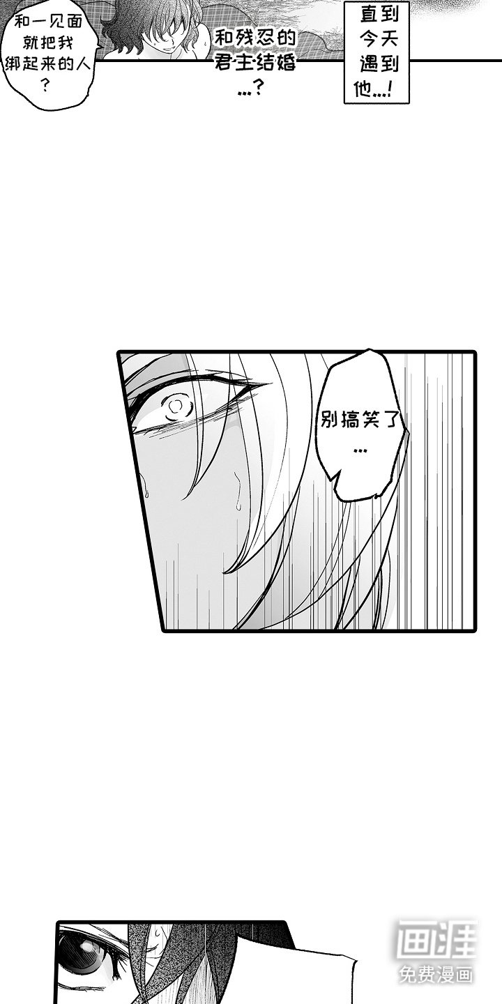 第6章：证据