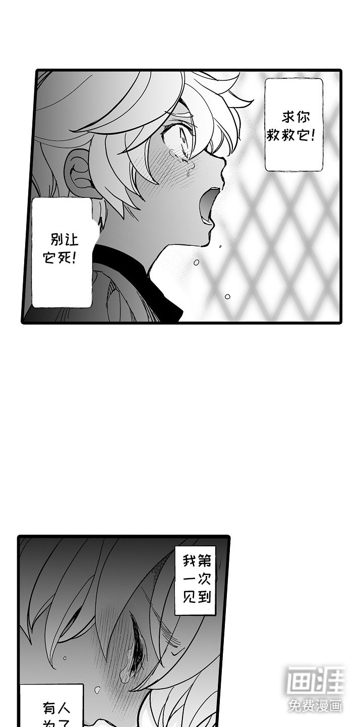 第7章：曾经的少年