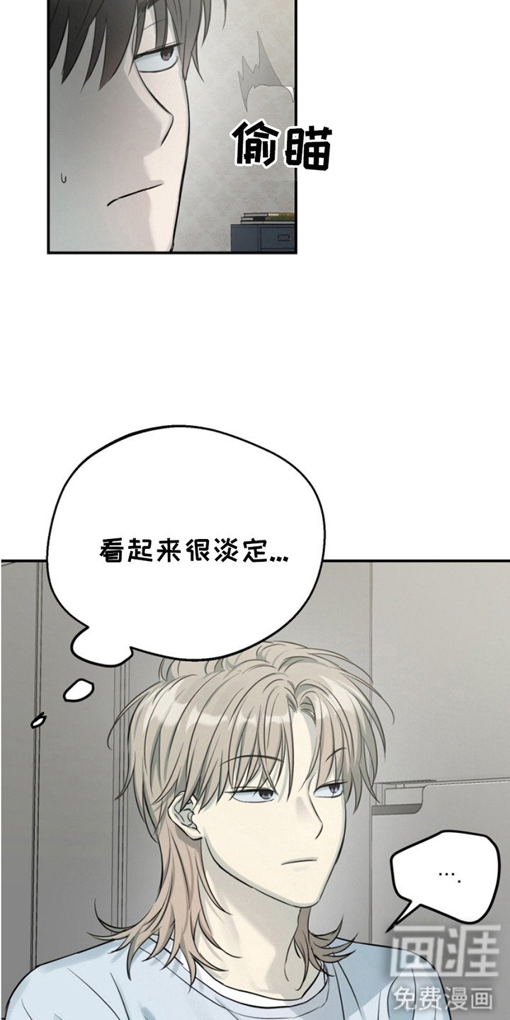 第5章：很淡定