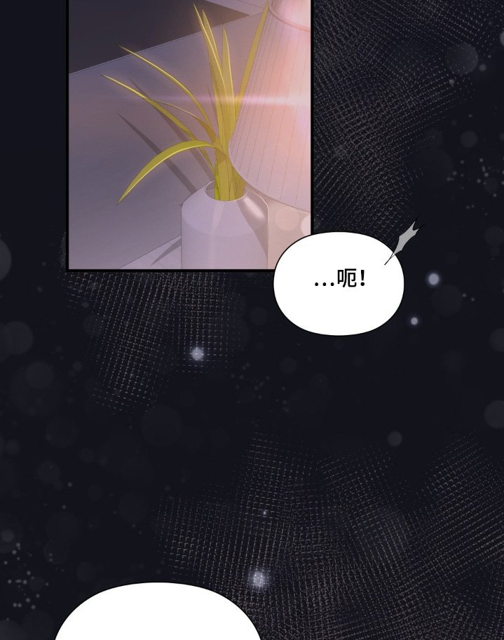 第42章：非常喜欢