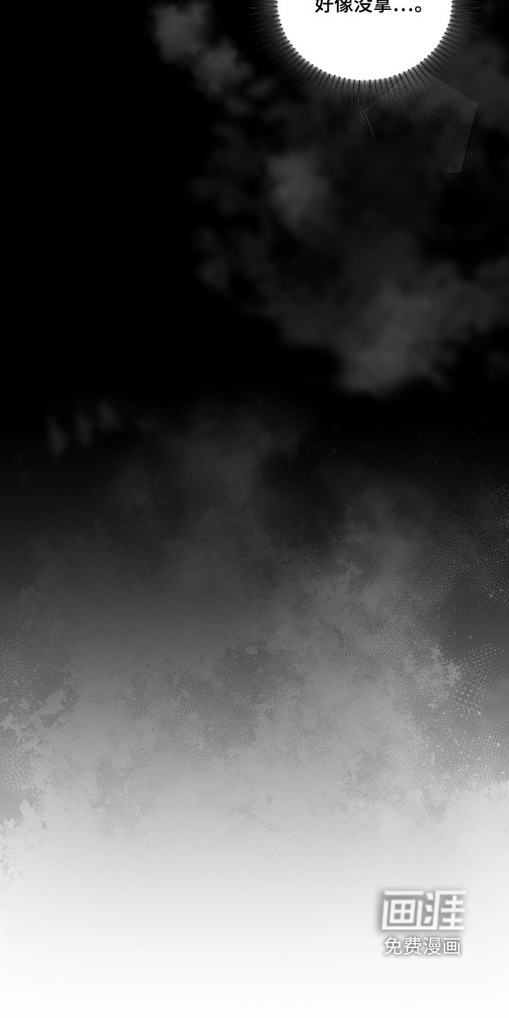 第44章：碰面