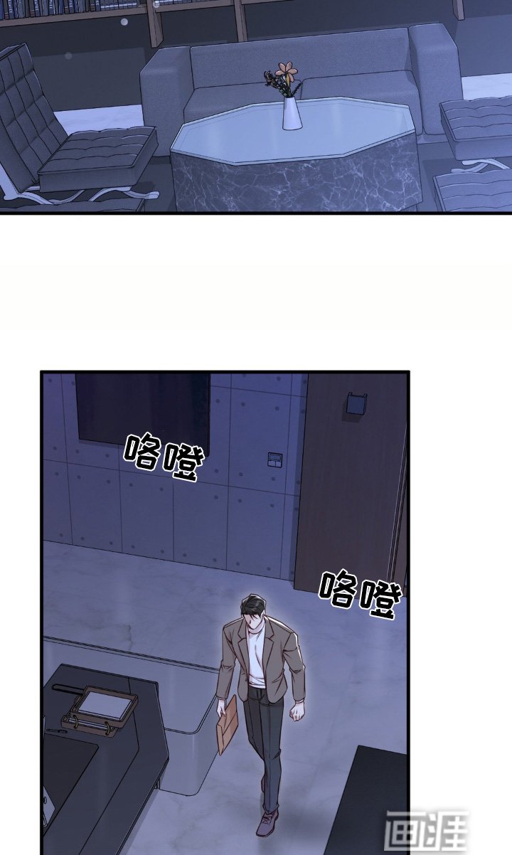 第63章：按照计划