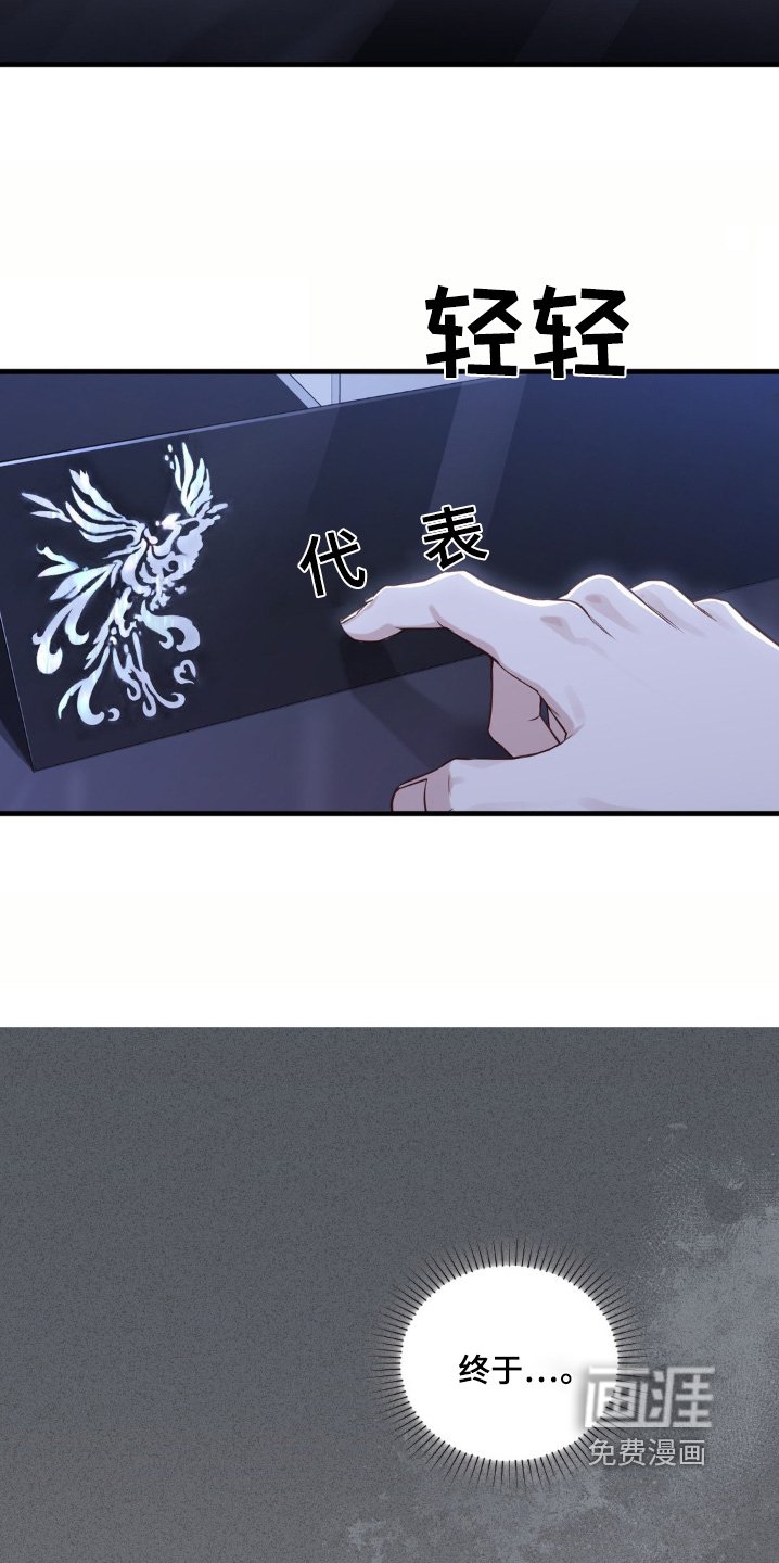 第63章：按照计划