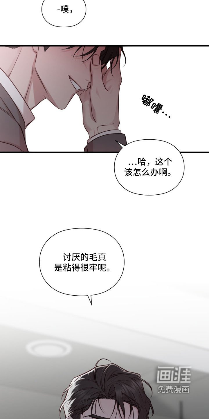 第67章：一切顺利