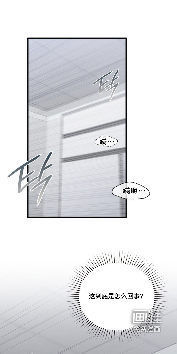 第81章：偷袭