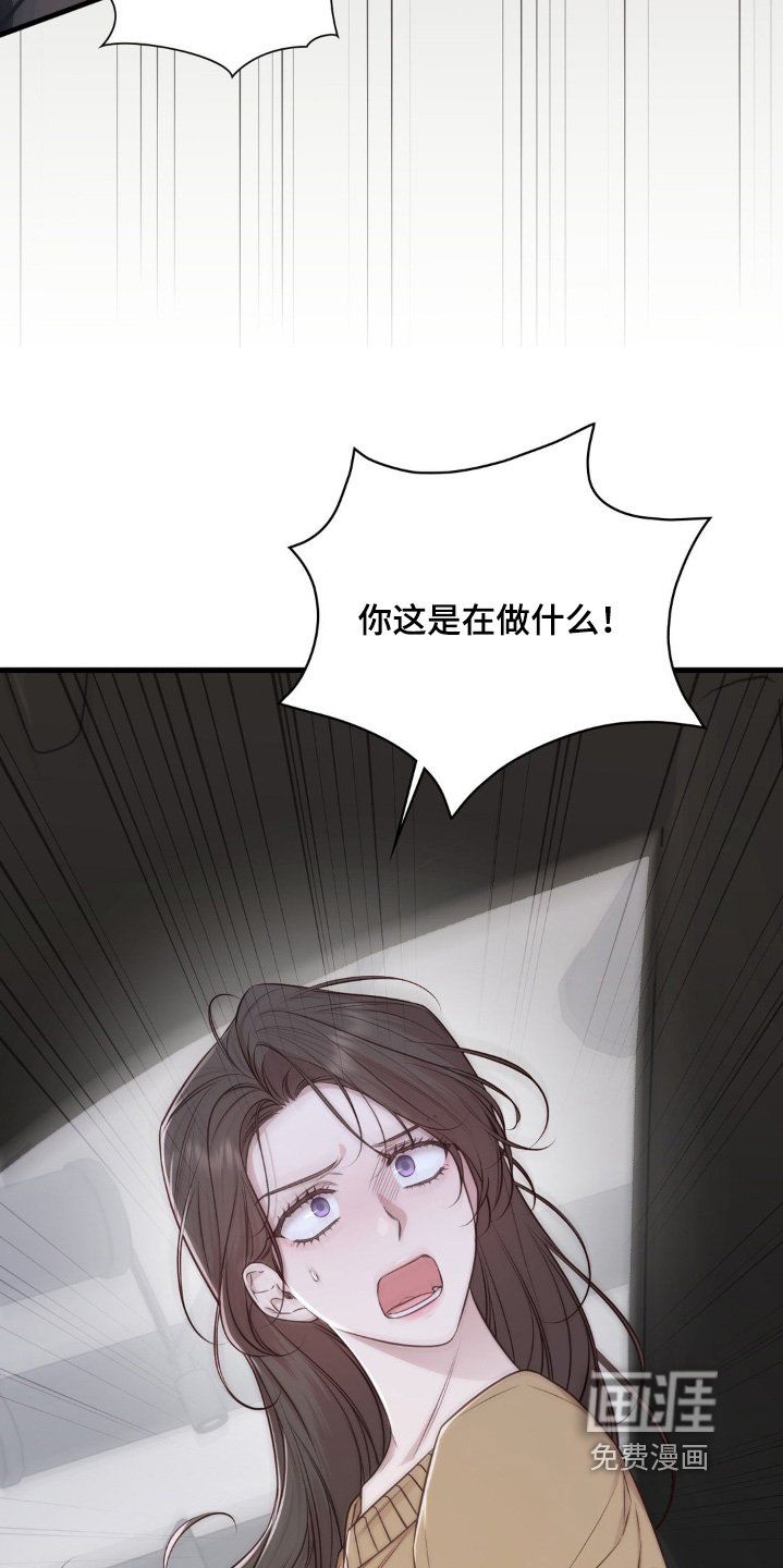 第81章：偷袭