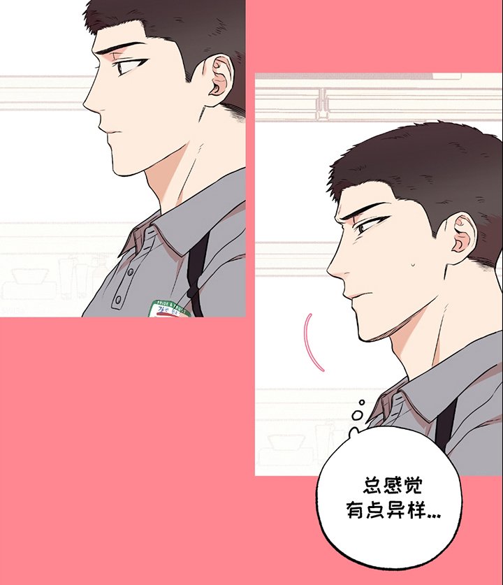 第5章：完美