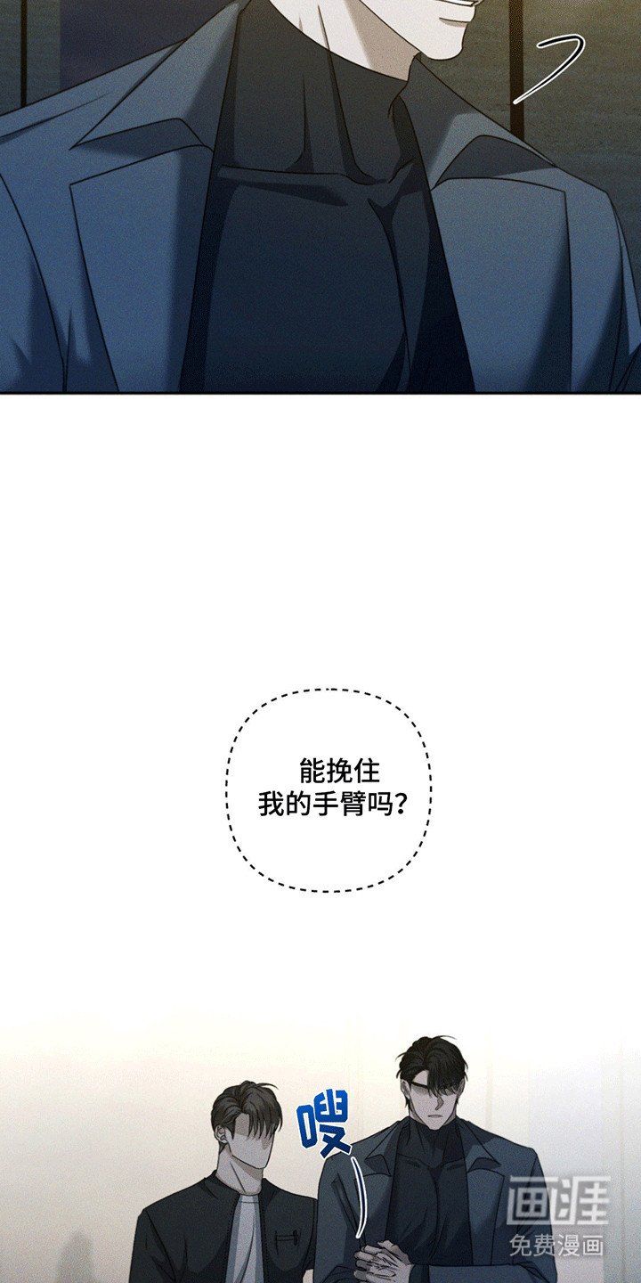第11章：调查