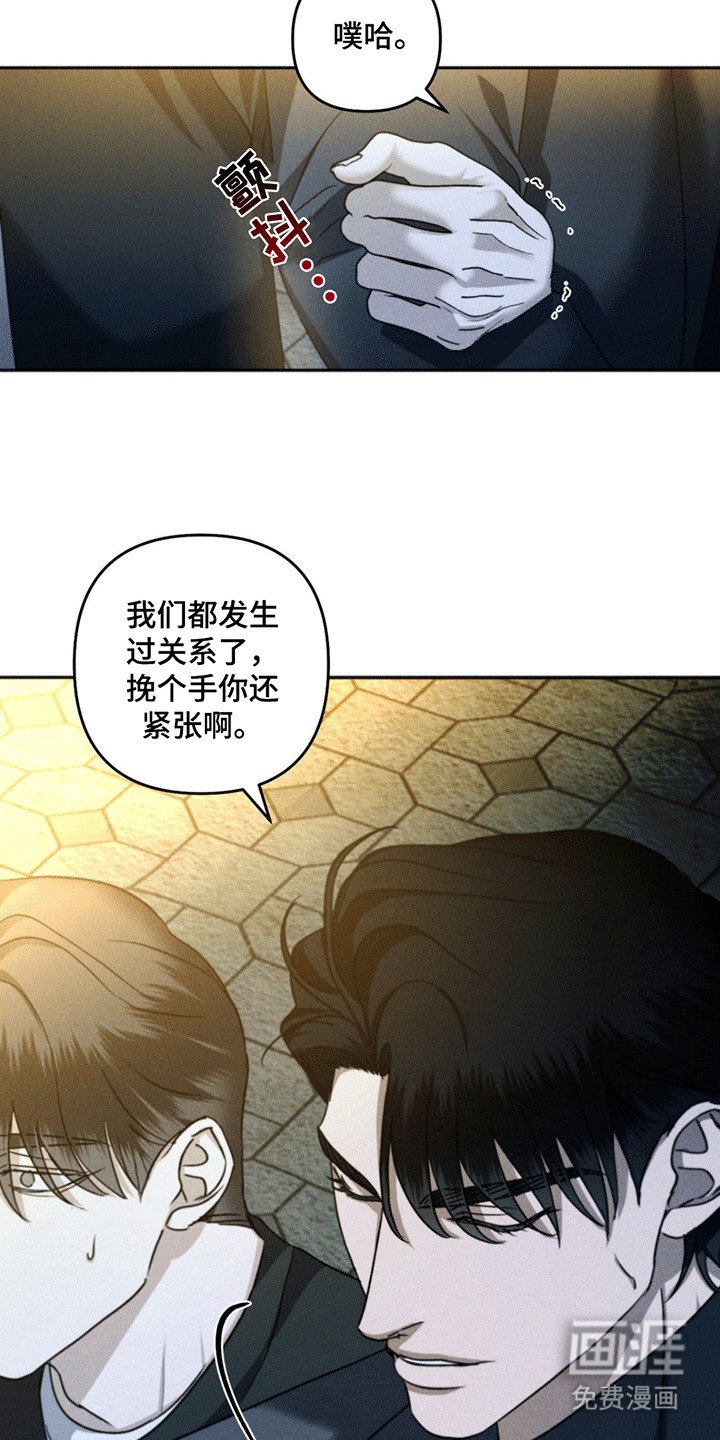 第11章：调查