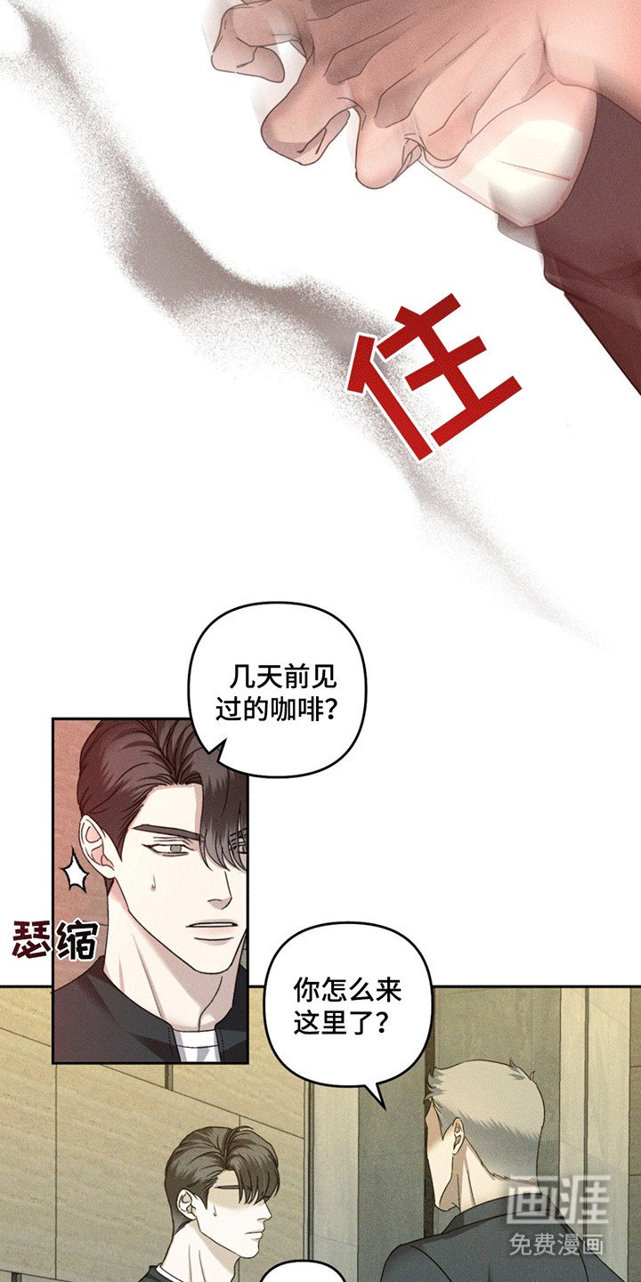 第11章：调查